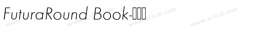 FuturaRound Book字体转换